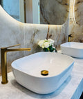 claya oval shaped counter top basin
